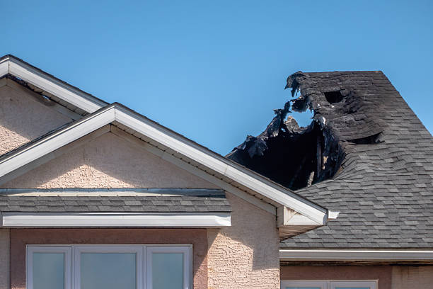 Top rated local Odor Removal specialists in Quakertown, PA